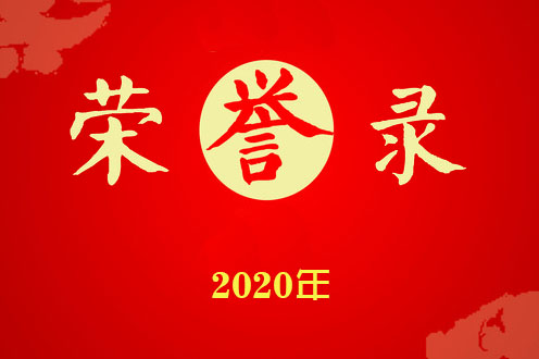 掇刀石中学荣誉录(2020)