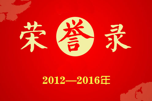 掇刀石中学荣誉录（2012—2016）